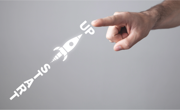 Launching a New Company